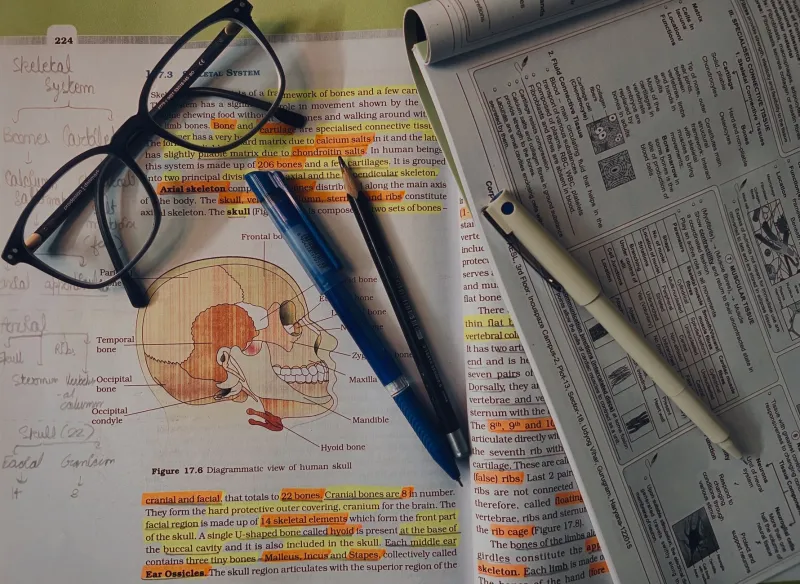 What India's Most Demanding Medical Exam Can Teach US Pre-Med Students About Conquering the MCAT